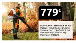 Rural Master Souffleur thermique br 700 offre