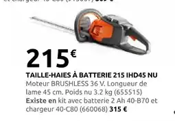 Rural Master Taille-haies à batterie 215 ihd45 nu offre