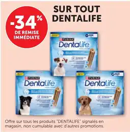 Bi1 Purina dentalife offre