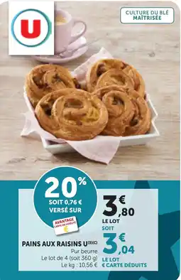 Bi1 U PAINS AUX RAISINS offre