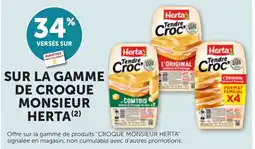 Bi1 Herta Croque Monsieur offre