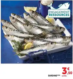 Super U ENGAGEMENT RESSOURCES SARDINE offre
