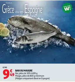 Auchan BAR OU MAIGRE offre