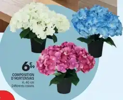 La Foir'Fouille COMPOSITION D'HORTENSIAS offre