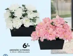 La Foir'Fouille JARDINIÈRE 18 PIVOINES offre