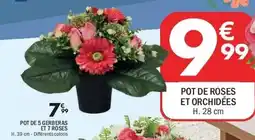 La Foir'Fouille POT DE ROSES ET ORCHIDÉES offre