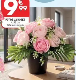 La Foir'Fouille POT DE 12 ROSES offre