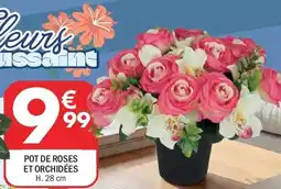 La Foir'Fouille Pot de roses et orchidees offre
