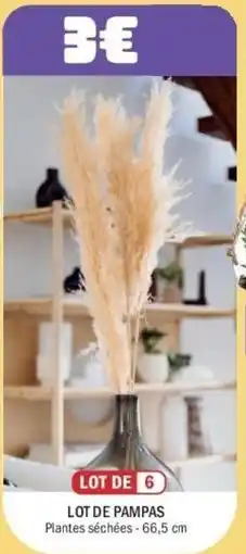 La Foir'Fouille Lot de pampas offre