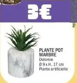 La Foir'Fouille Plante pot marbre offre