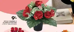 La Foir'Fouille Pot de 7 pivoines, 3 alliums et feuillage offre