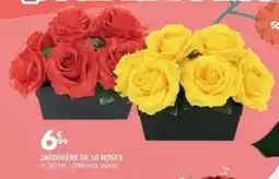 La Foir'Fouille Jardinière de 10 roses offre