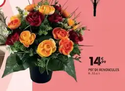 La Foir'Fouille Pot de renoncules offre