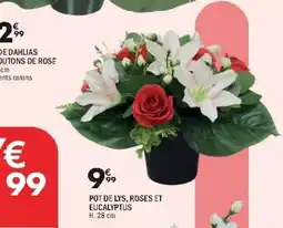 La Foir'Fouille Pot de lys, roses et eucalyptus offre