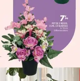 La Foir'Fouille Pot de 3 roses, 3 lys, 13 glaïeuls offre