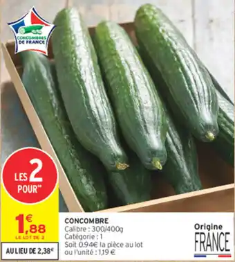 CONCOMBRES DE FRANCE
