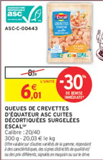 ESCAL Queues de crevettes d'équateur