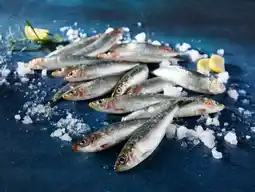 Auchan Sans marque sardine offre