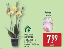 ALDI Gardenline orchidée 3 branches offre