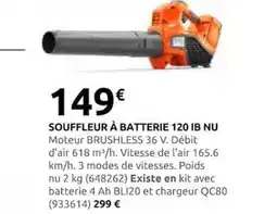 Rural Master Souffleur à batterie 120 ib nu offre