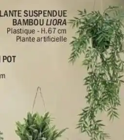 La Foir'Fouille Plante suspendue bambou liora offre