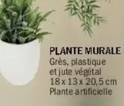 La Foir'Fouille Plante murale offre