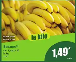Norma Bananes offre