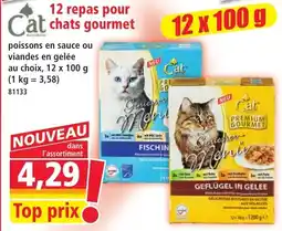 Norma Cat Bonbon Gourmet Menu offre