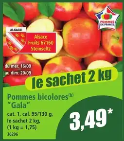 Norma Alsace Fruits Pommes bicolors offre
