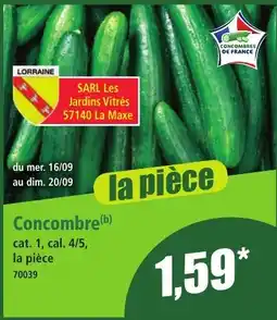 Norma Concombre offre