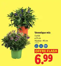 Lidl Veronique mix offre