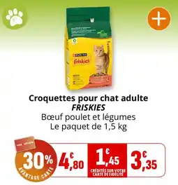Coccinelle Supermarché Friskies Croquettes pour chat adulte offre