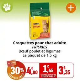 Coccinelle Express Friskies Croquettes pour chat adulte offre