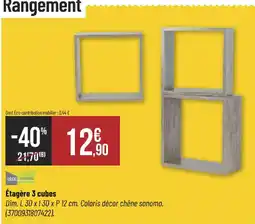 Bricorama DECO SYSTEM Étagère 3 cubes offre