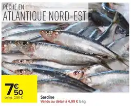 Carrefour Sardine offre