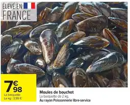 Carrefour Moules de bouchot offre