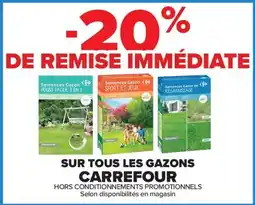 Carrefour Carrefour Semences Gazon offre