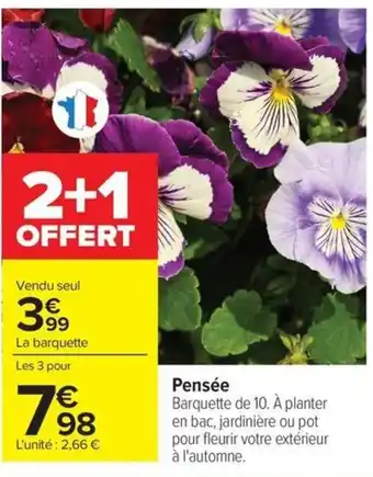 Carrefour Pensée offre