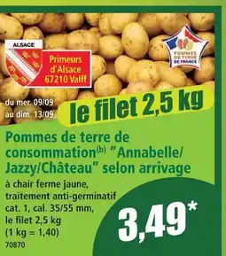 Norma Pommes de terre de consommation consommation ”annabelle/jazzy/château” selon arrivage offre