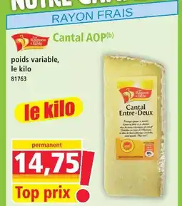 Norma Cantal aop offre