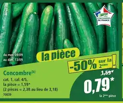 Norma Concombre offre