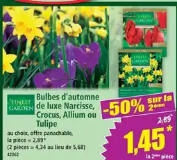 Norma Finest garden bulbes d’automne de luxe narcisse, crocus, allium ou tulipe offre