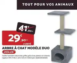 Bricomarché Zolux - arbre à chat modèle duo offre