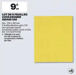 Brico Dépôt LOT DE 5 FEUILLES offre