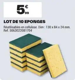 Brico Dépôt LOT DE 10 EPONGES offre