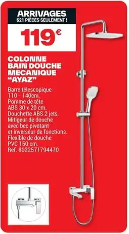 Brico Dépôt AYAZ COLONNE BAIN DOUCHE MECANIQUE offre