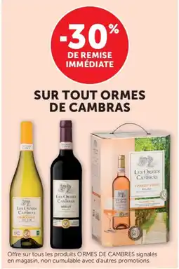Super U Ormes de cambras offre
