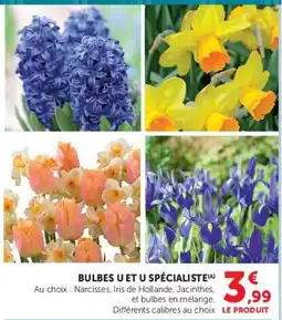 Super U BULBES U ET U SPÉCIALISTE offre