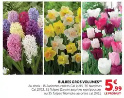Super U BULBES GROS VOLUMES offre