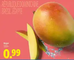 Lidl Mangue offre